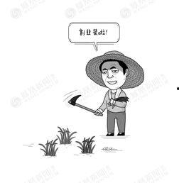 韭菜漫画,揭示社会现象的幽默讽刺画卷